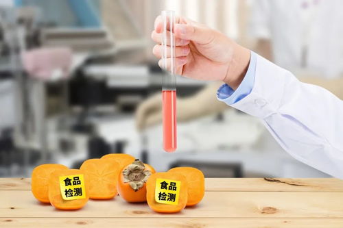 史上最嚴《四川省中小學校食品安全管理辦法》正式實施，守護學生餐飲服務安全